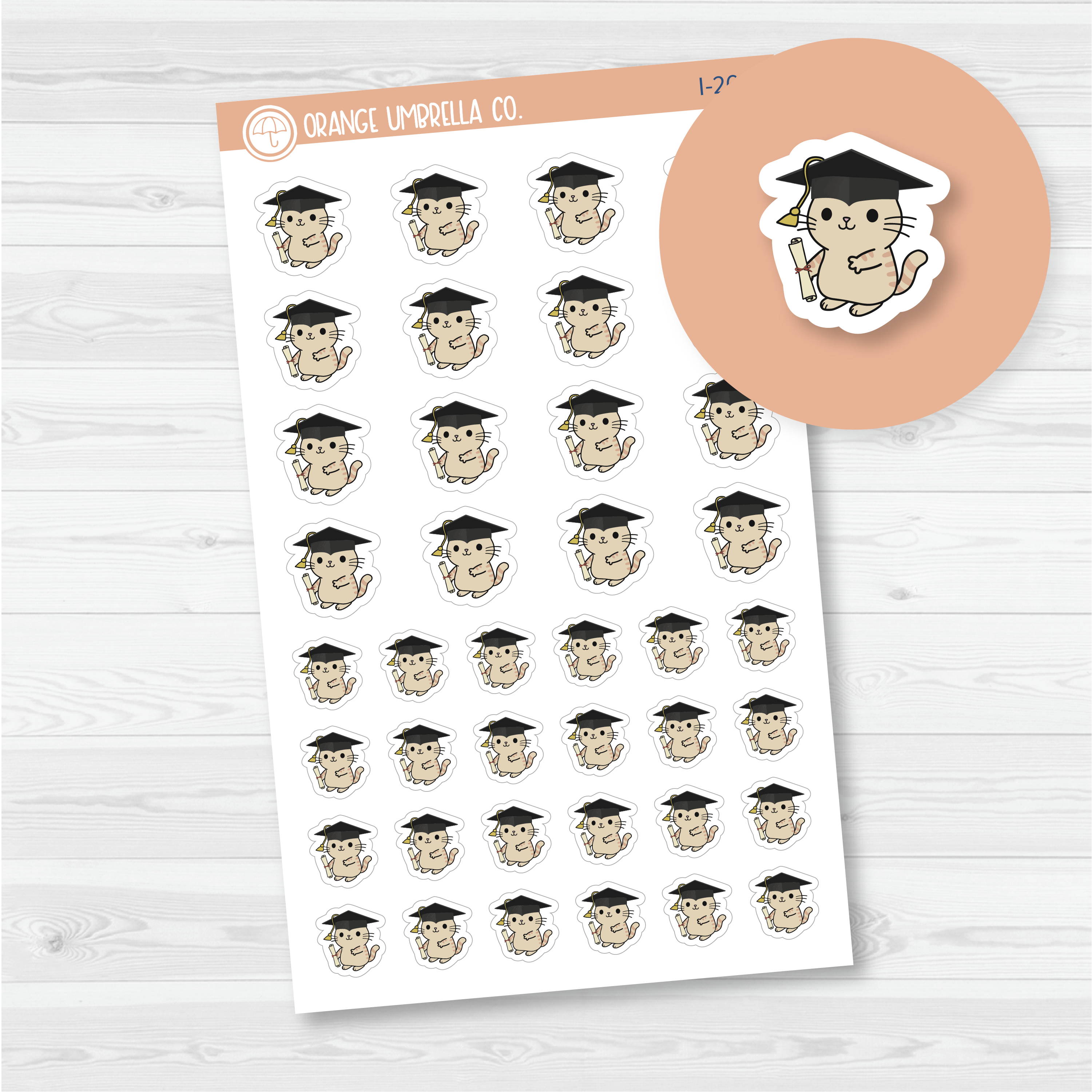 Spazz Cat Graduation Icon Planner Stickers | I-268