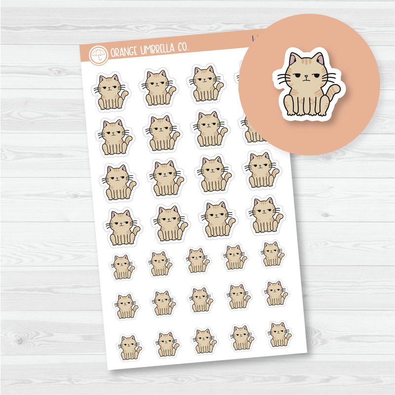 Spazz Cat Side Eye Icon Planner Stickers | I-289