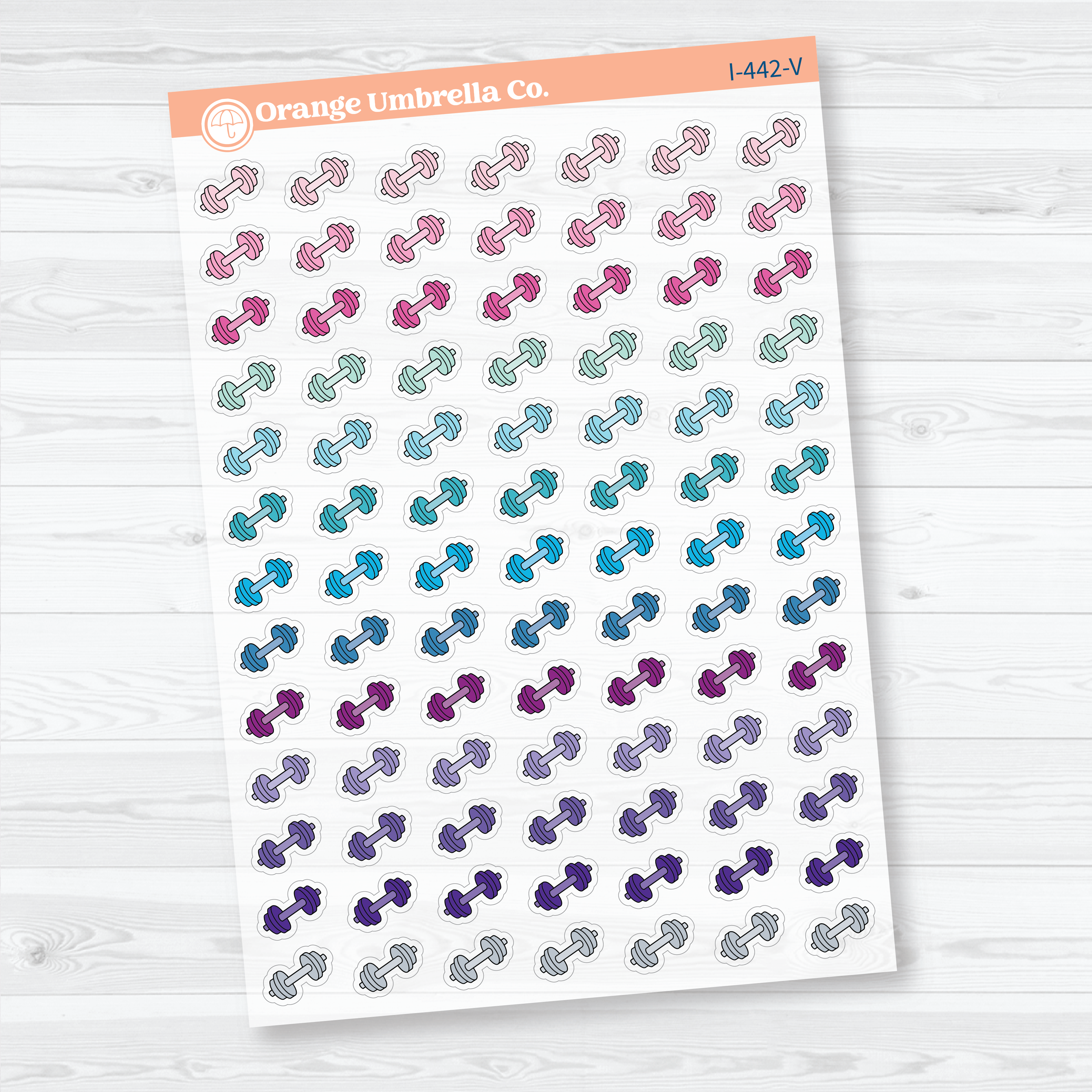 Hand Doodled Dumbbell Icons | Clear Matte Planner Stickers | I-442-CM