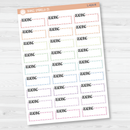 Reading Stitched Quarter Box Planner Stickers | L-424