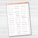 US Holidays Script Planner Stickers | F5 | S-016