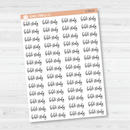 Bible Study Script Planner Stickers | F2 | S-080