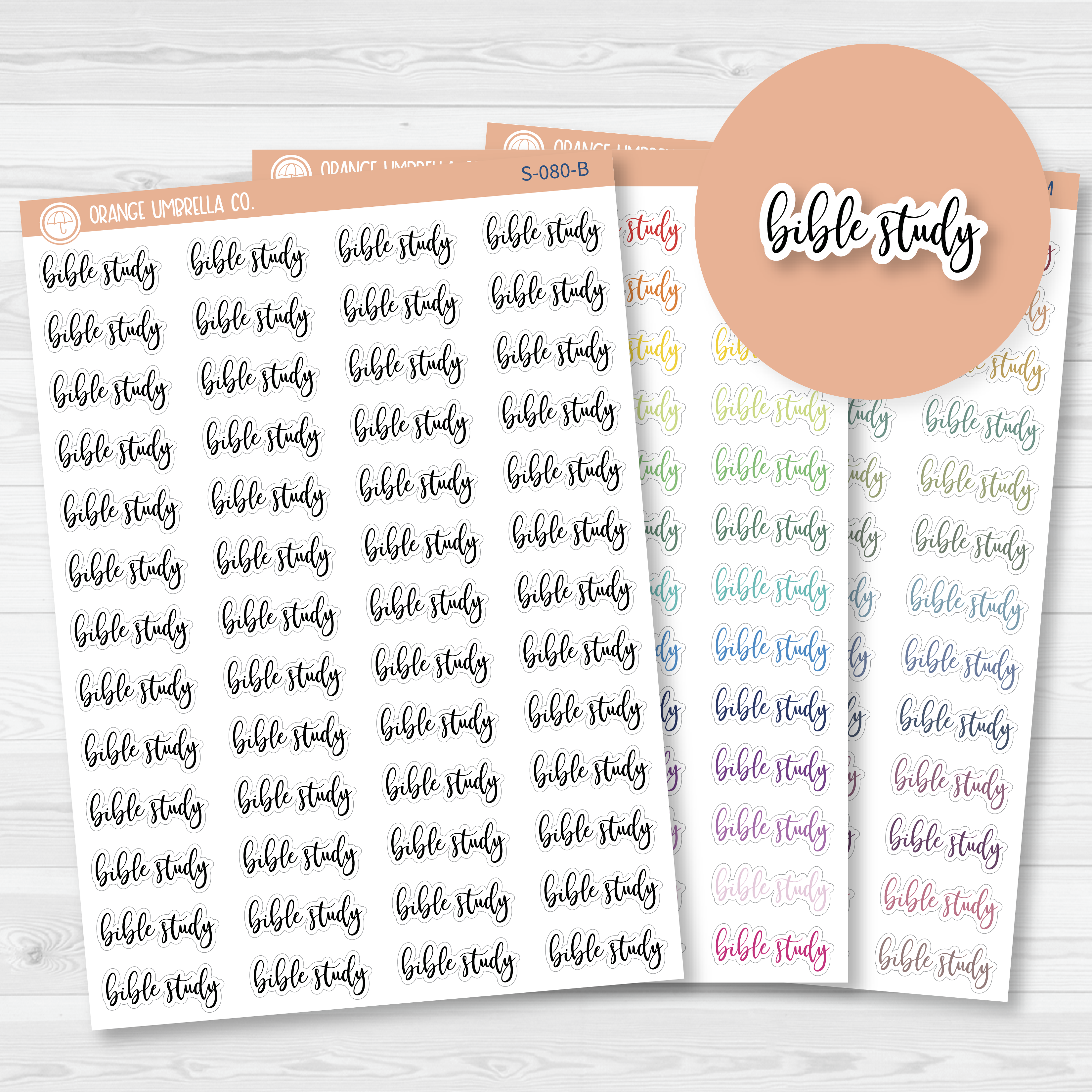 Bible Study Script Planner Stickers | F2 | S-080
