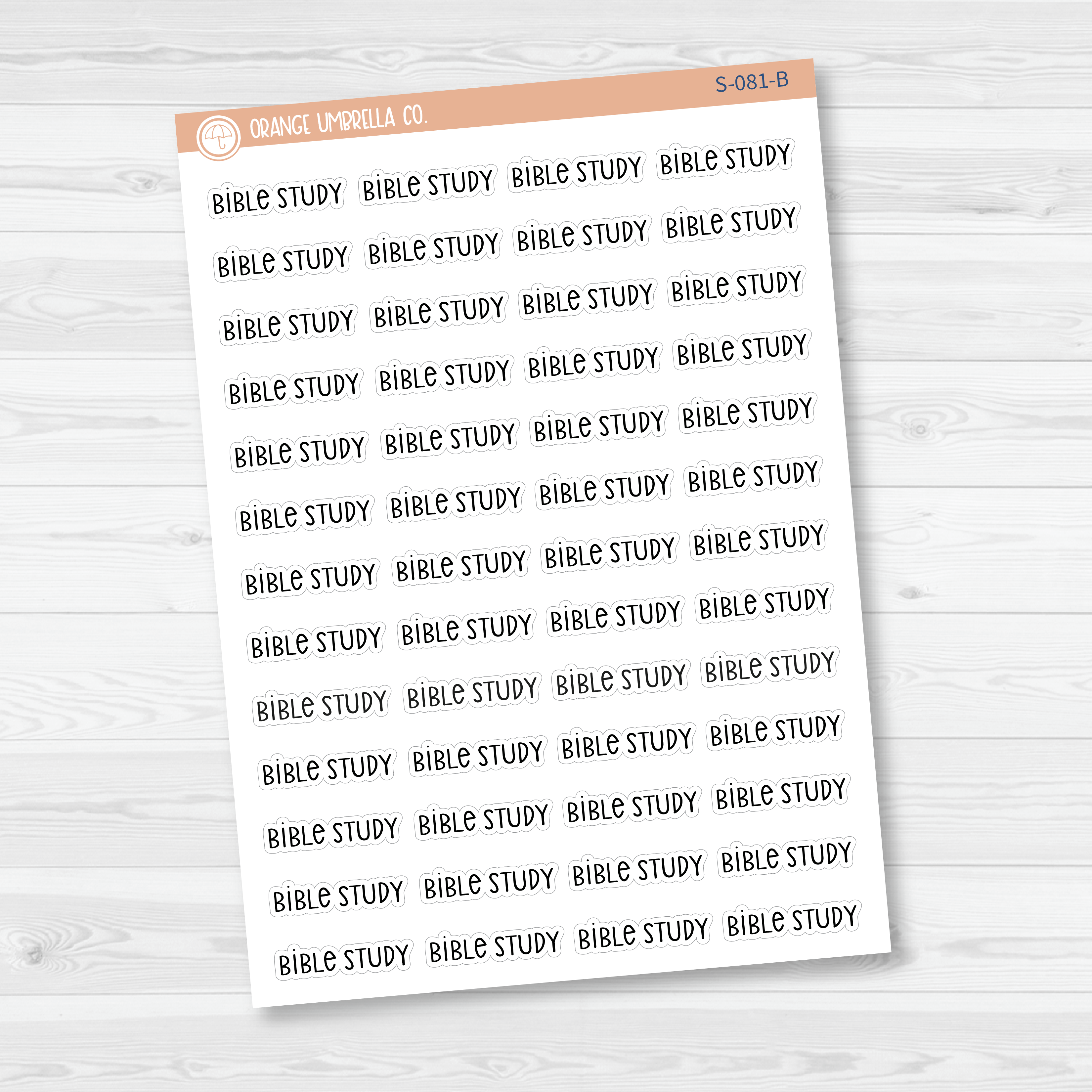 Bible Study Script Planner Stickers | F3 | S-081