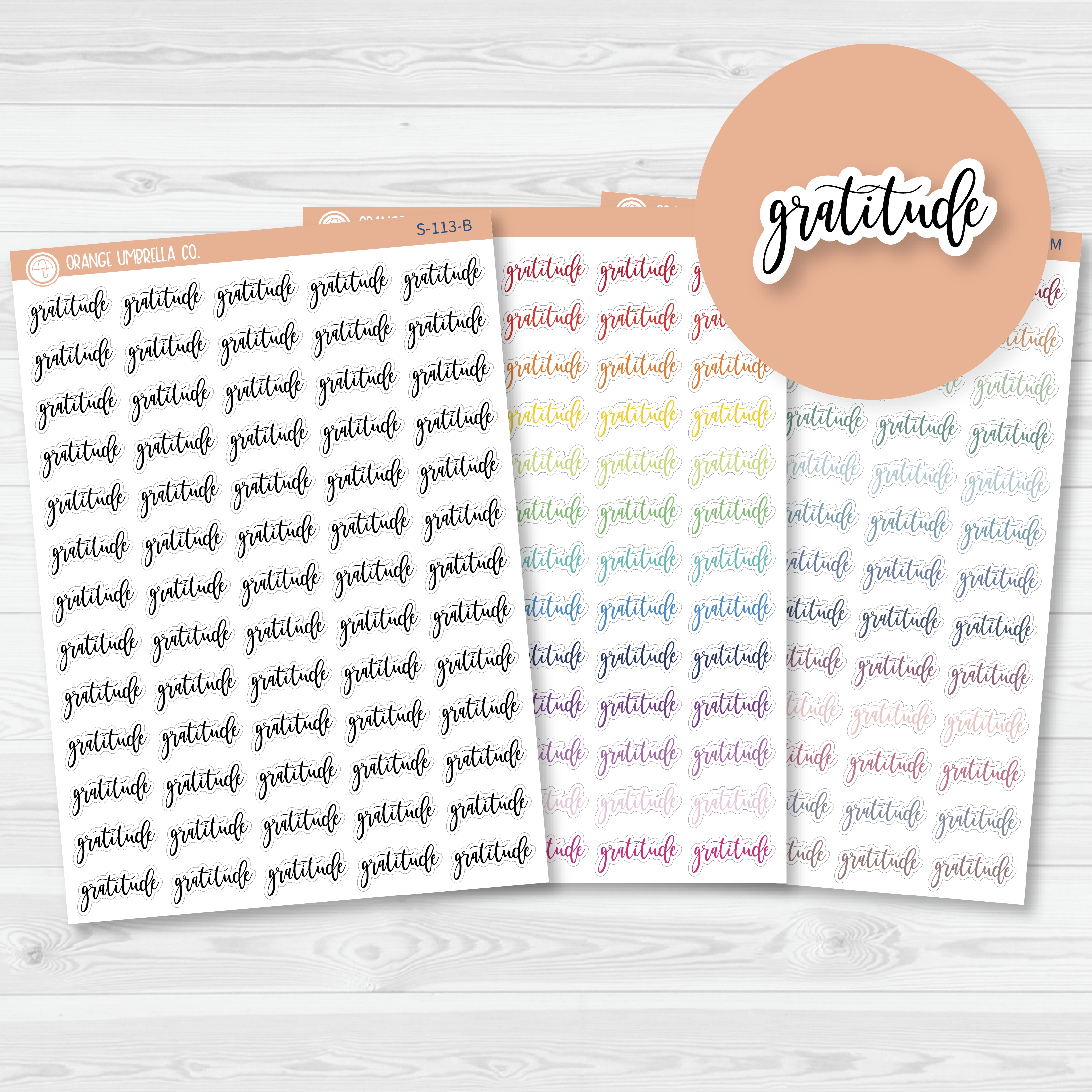 Gratitude Script Planner Stickers | F2 | S-113