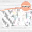 Brain Dump Planner Script Stickers | Planner Script Stickers | S-251