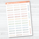 Brain Dump Planner Script Stickers | Planner Script Stickers | S-251