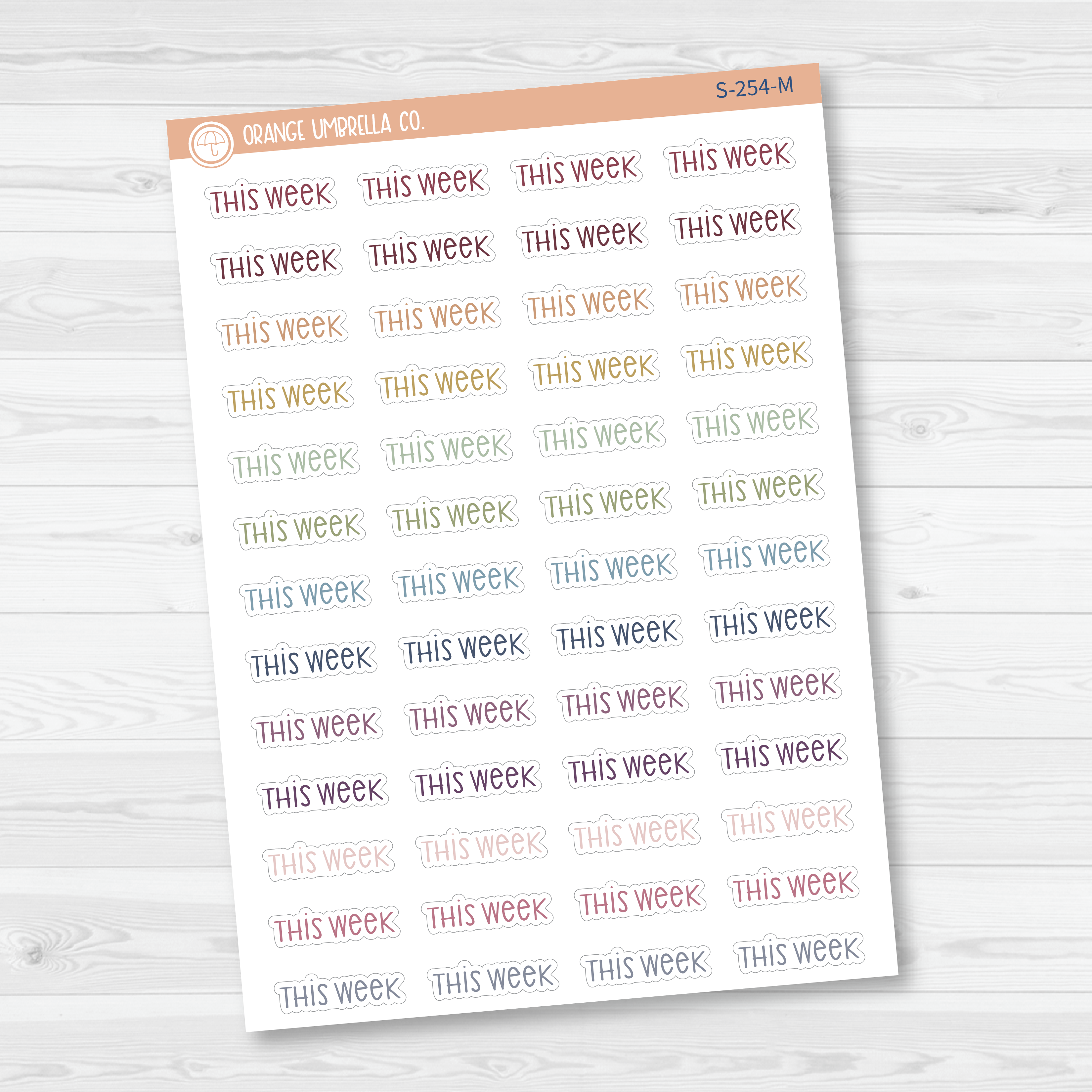 This Week Script Planner Stickers | F3 | S-254