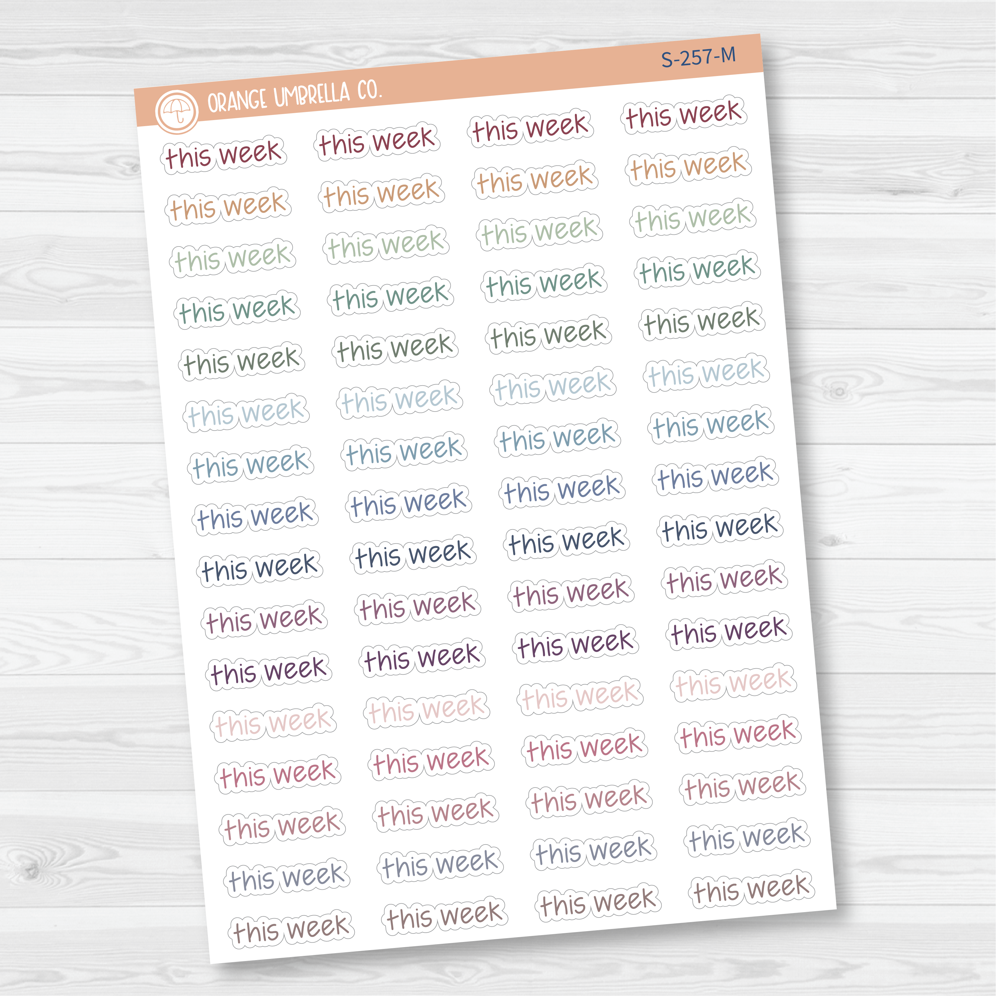 This Week Jen Plans Script Planner Stickers | FJP | S-257