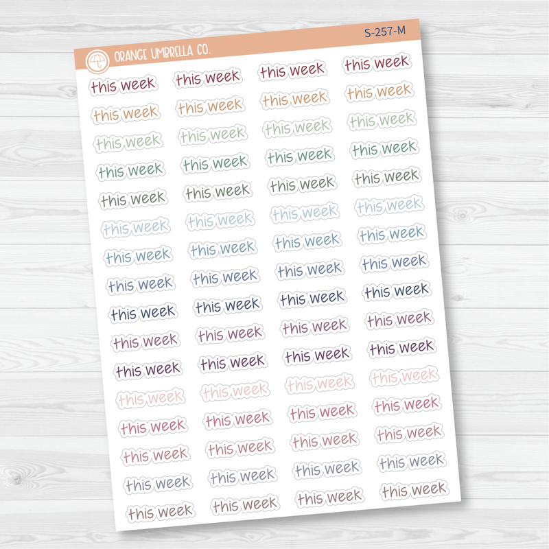 This Week Jen Plans Script Planner Stickers | FJP | S-257