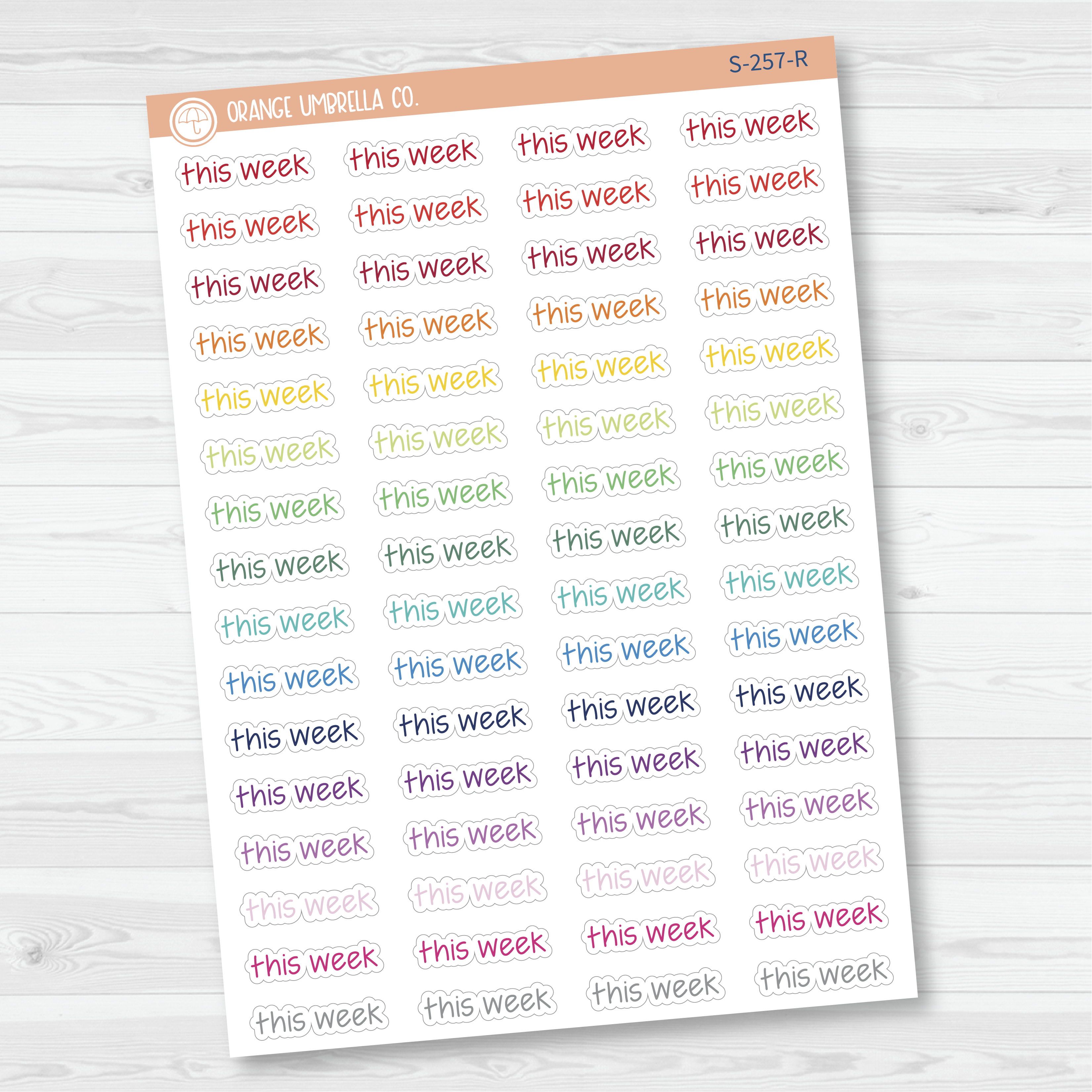 This Week Jen Plans Script Planner Stickers | FJP | S-257