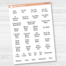 School Related Holiday - Mini Script Planner Stickers | F3 | S-450-B