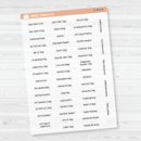 US Holidays Jen Plans  - Mini Script Planner Stickers | FJP | S-452