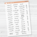 US Holidays - Mini Script Planner Stickers | FC12 | S-453