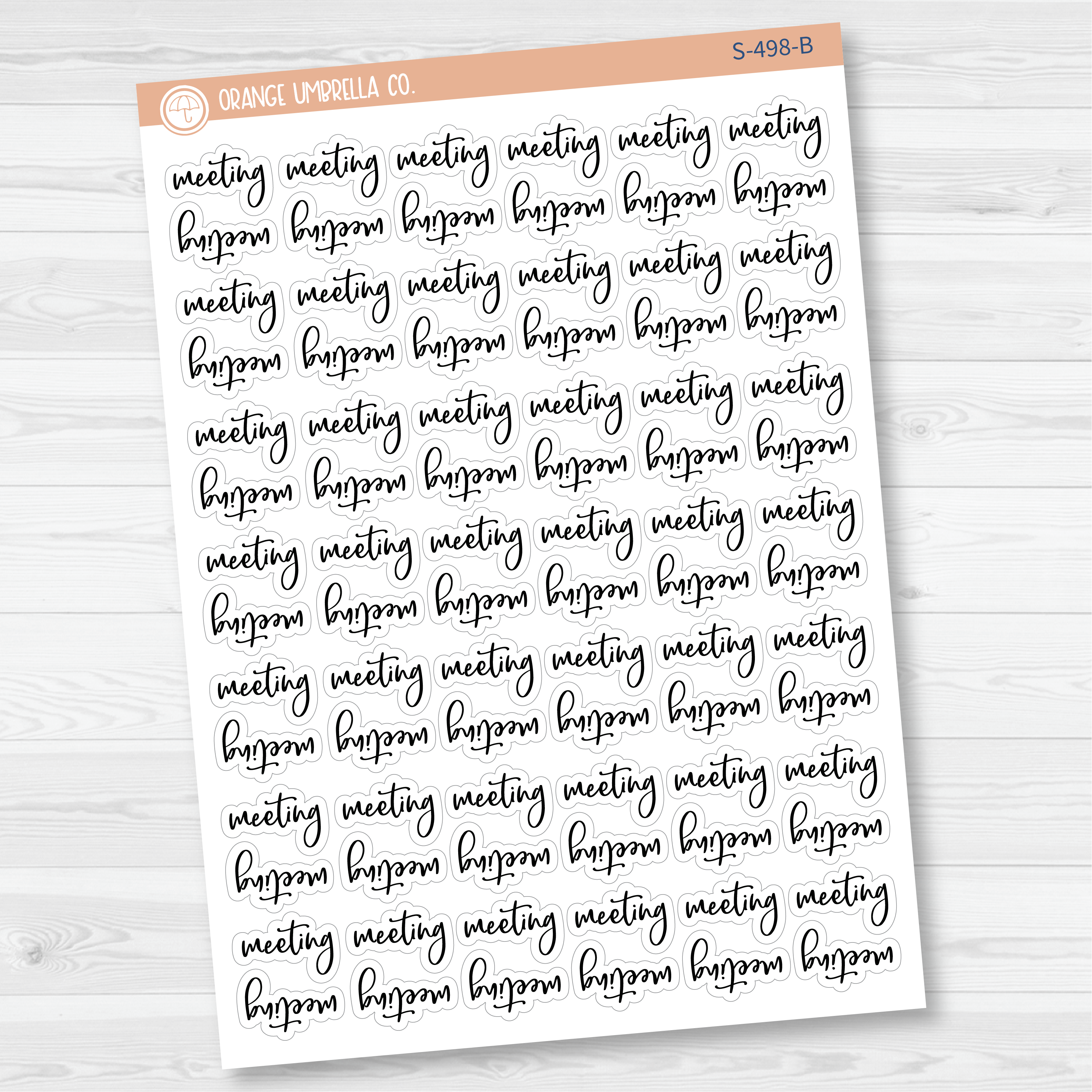 Meeting Script Planner Stickers | F2 | S-498