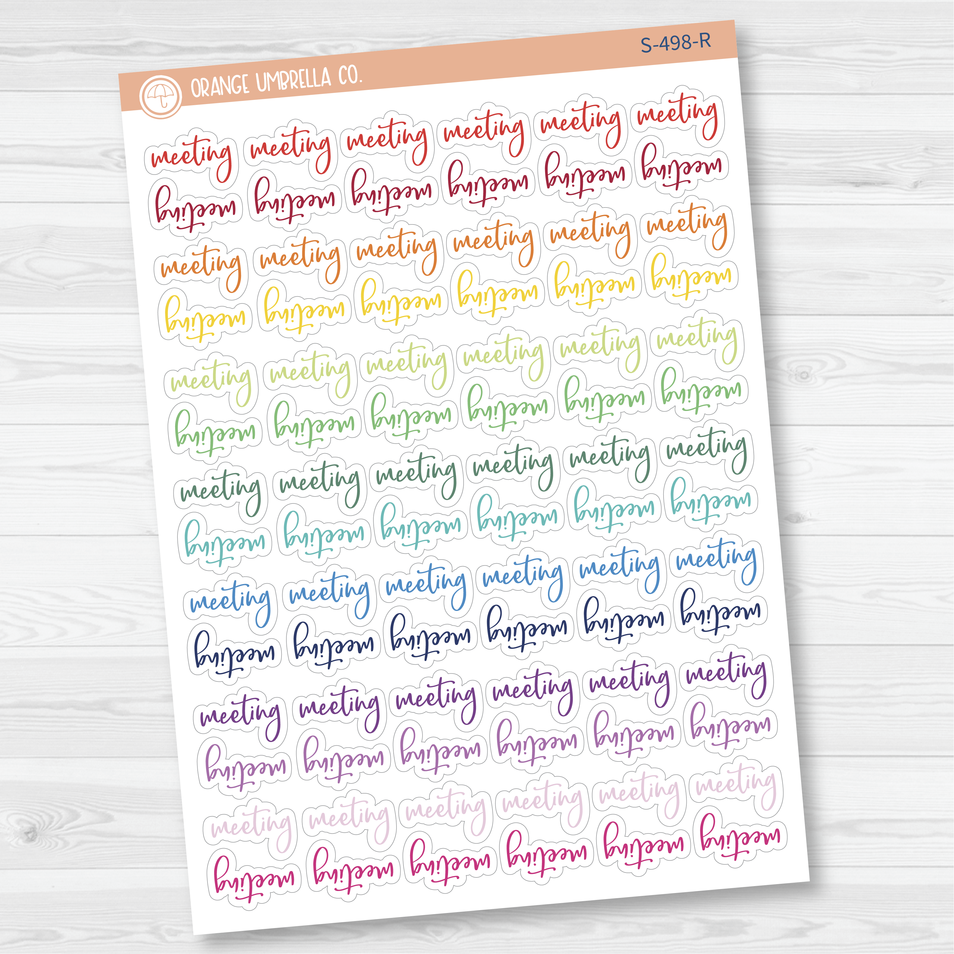 Meeting Script Planner Stickers | F2 | S-498