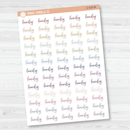 Laundry Script Planner Stickers | F2 | S-529