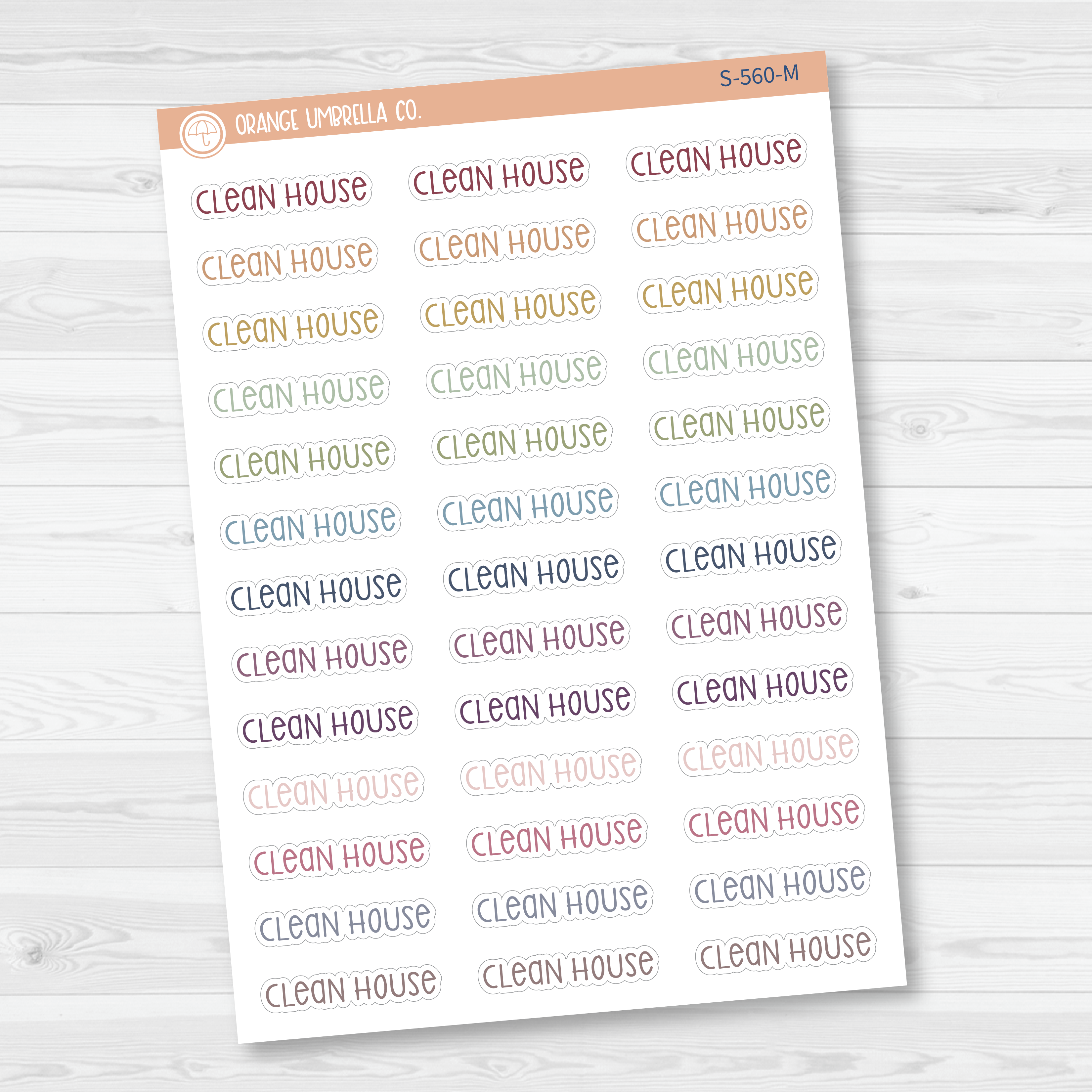 Clean House Script Planner Stickers | F3 | S-560