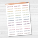 Clean House Script Planner Stickers | F3 | S-560