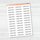 Sunday Reset Script Planner Stickers | F3 | S-850