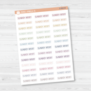 Sunday Reset Script Planner Stickers | F3 | S-850