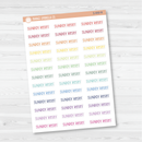Sunday Reset Script Planner Stickers | F3 | S-850