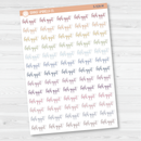 Lash Appt Script Planner Stickers | F2 | S-928