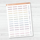 Vacation Script Planner Stickers | FJP | S-002