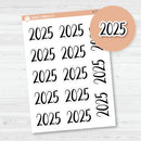 2025 Year Monthly Planner Stickers | F2 Script | B-716-B