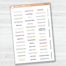 US Holiday Script Planner Stickers | F19 | S-009