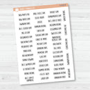 US Holiday - Mini Script Planner Stickers | F13 | S-028