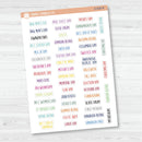 US Holiday - Mini Script Planner Stickers | F13 | S-028