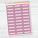 NP-Basic Third Box Label Planner Stickers | Erin Condren Evolve Palette | EC-053-058
