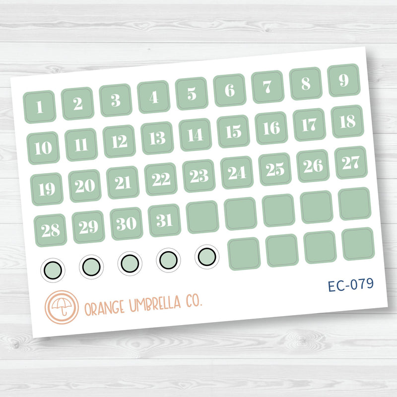 NP-Date Dot Planner Stickers | Erin Condren Evolve Palette | EC-077-082