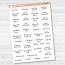 NP-School Related Holiday Mini Script Planner Stickers | F15 | S-056