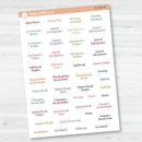 NP-School Related Holiday Mini Script Planner Stickers | F19 | S-058