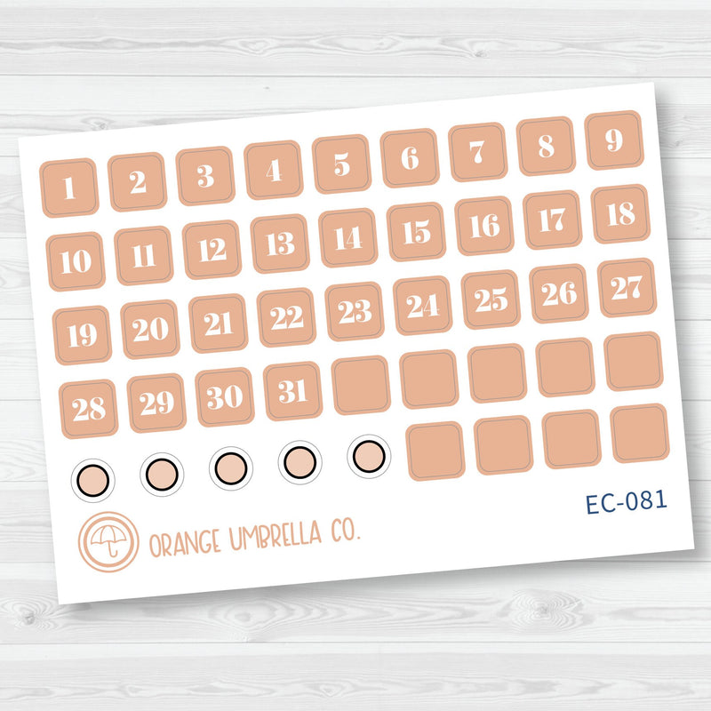 NP-Date Dot Planner Stickers | Erin Condren Evolve Palette | EC-077-082