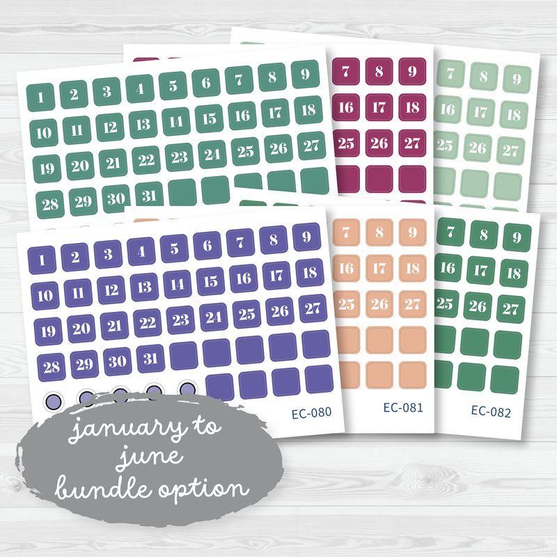 NP-Date Dot Planner Stickers | Erin Condren Evolve Palette | EC-077-082