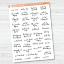 NP-School Related Holiday Script Planner Stickers | F15 | S-055