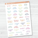 NP-School Related Holiday Mini Script Planner Stickers | F15 | S-056