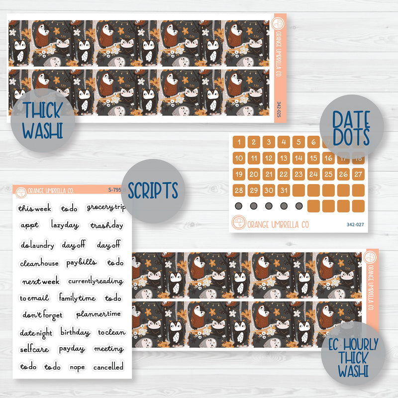 Owl Planner Kit | Weekly Add-On Planner Kit Stickers | Side Eye | 342-012