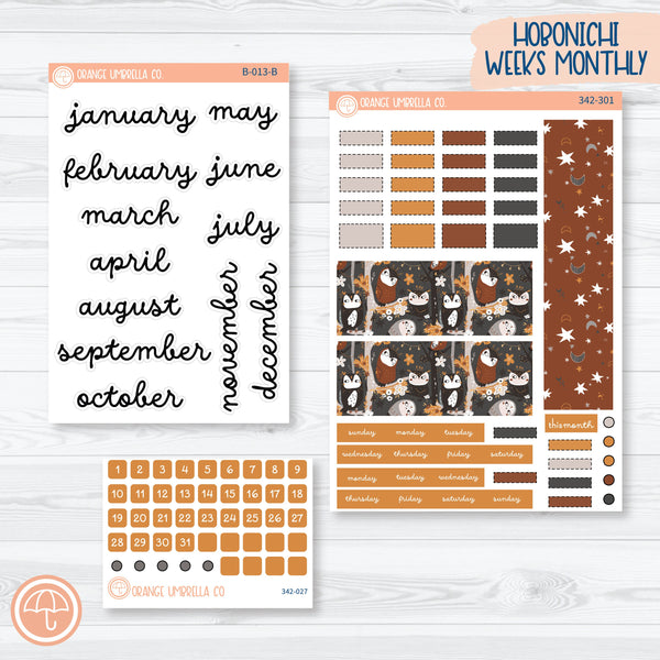 Owl Planner Kit | Hobonichi Weeks Monthly Planner Kit Stickers | Side Eye | 342-301