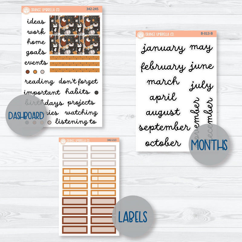 Owl Planner Kit | A5 EC Monthly & Dashboard Planner Kit Stickers | Side Eye | 342-241