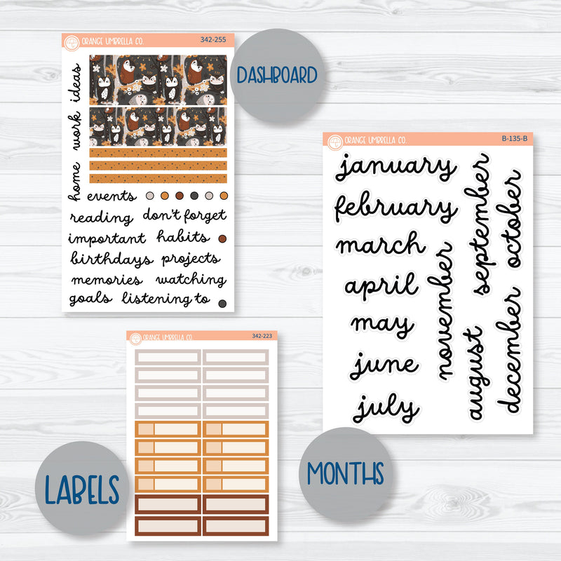 Owl Planner Kit | 7x9 ECLP Monthly & Dashboard Planner Kit Stickers | Side Eye | 342-251