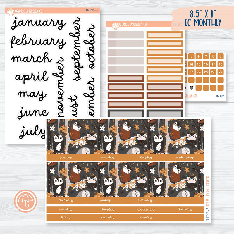 Owl Planner Kit | 8.5 ECLP Monthly Planner Kit Stickers | Side Eye | 342-261