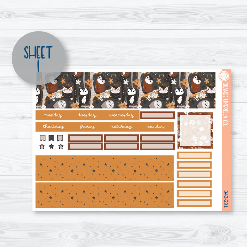 Owl Planner Kit | Hobonichi Cousin Monthly Planner Kit Stickers | Side Eye | 342-291