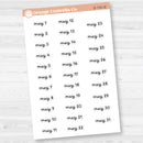 Dates of the Month Planner Stickers and Labels | F16 Script | B-736-741-B