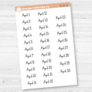 Dates of the Month Planner Stickers and Labels | F16 Print | B-748-753-B
