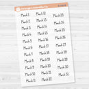 Dates of the Month Planner Stickers and Labels | F16 Print Clear Matte | B-748-753-BCM