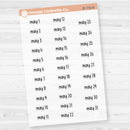 Dates of the Month Planner Stickers and Labels | F17 Print Clear Matte | B-772-777-BCM